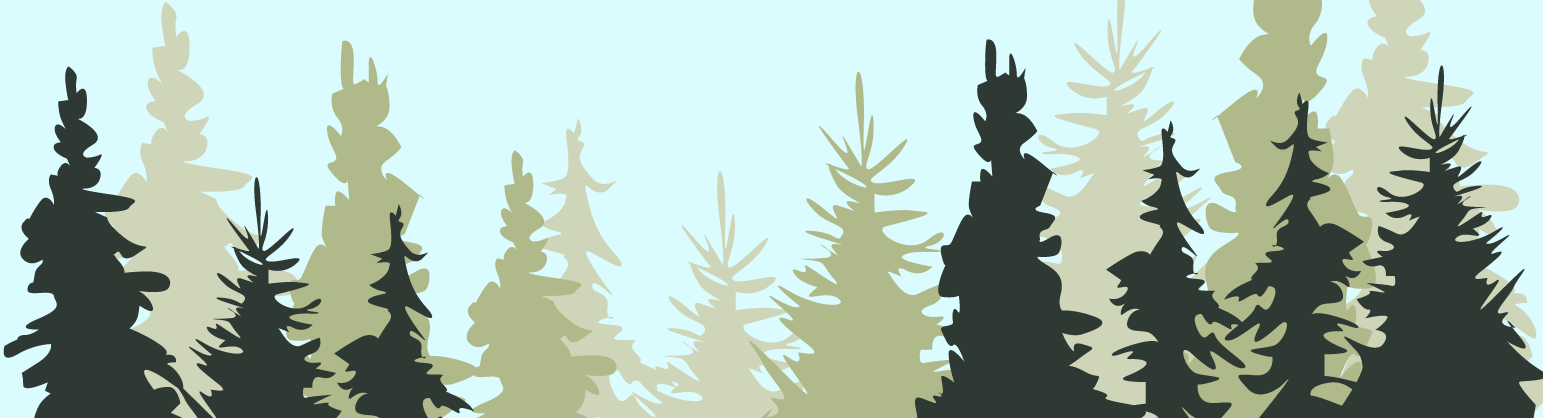 Redwood tree graphic